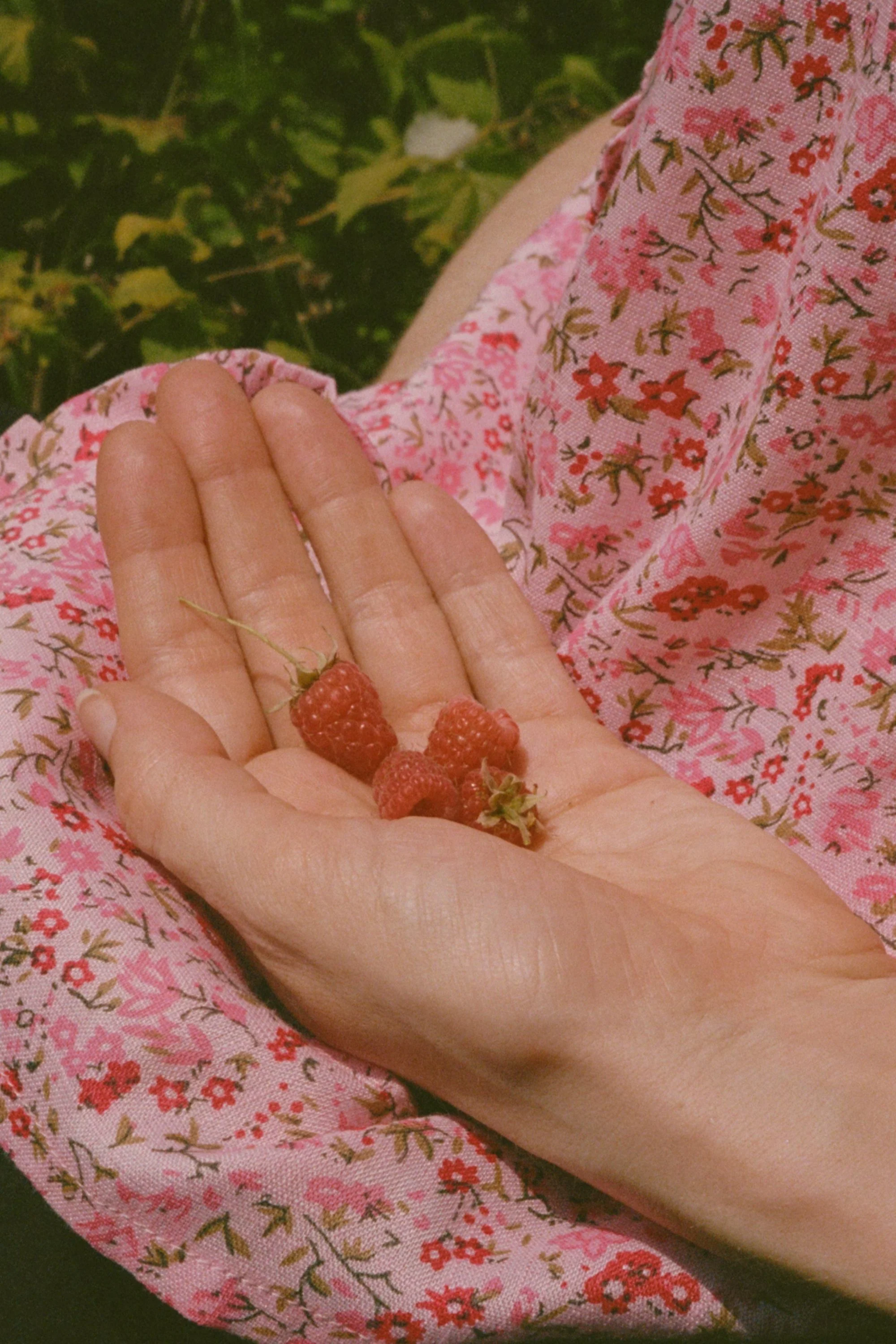 Billie Blouse in Millie Rose - Image 6