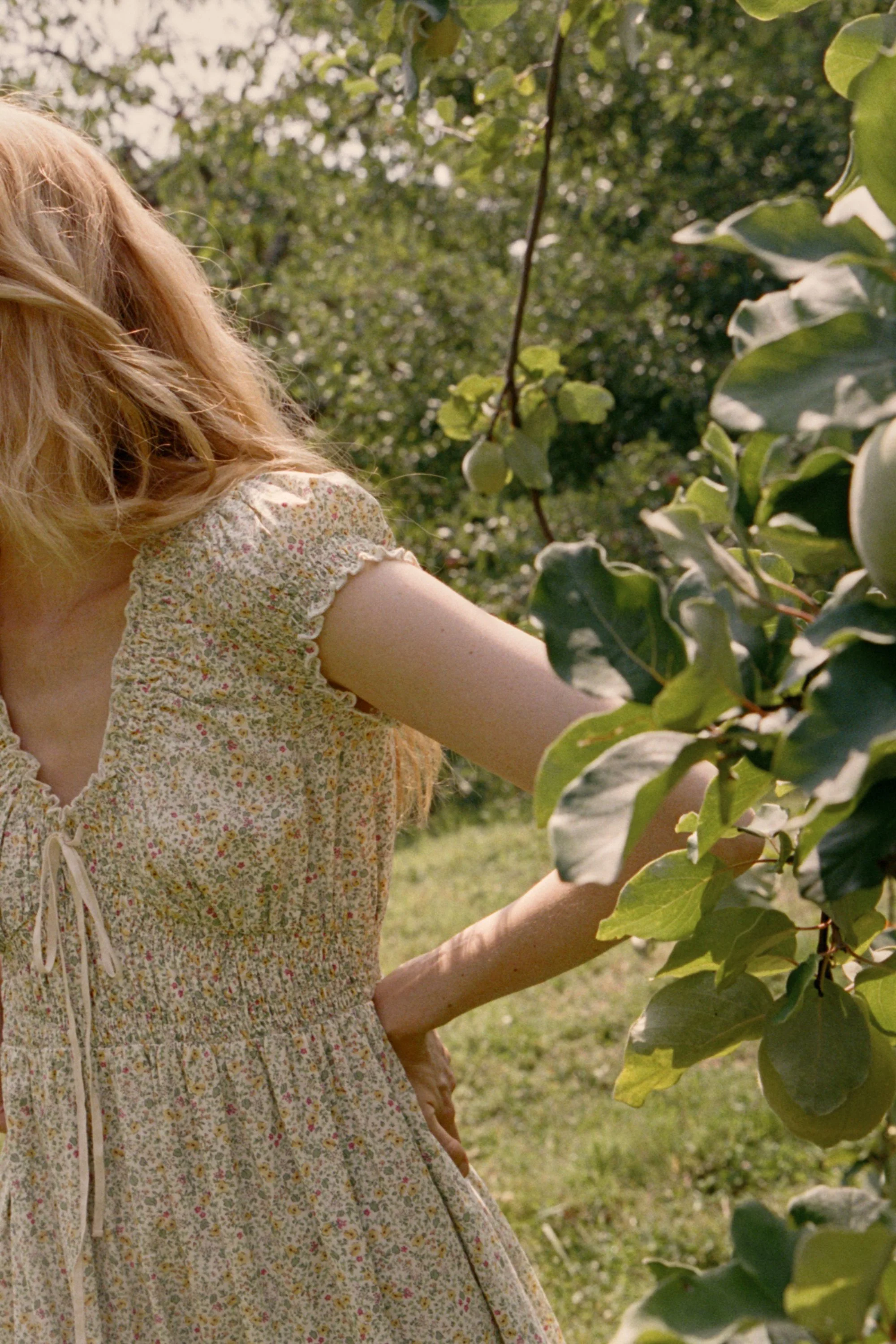 Halle Midi Dress in Apple Florette - Image 6